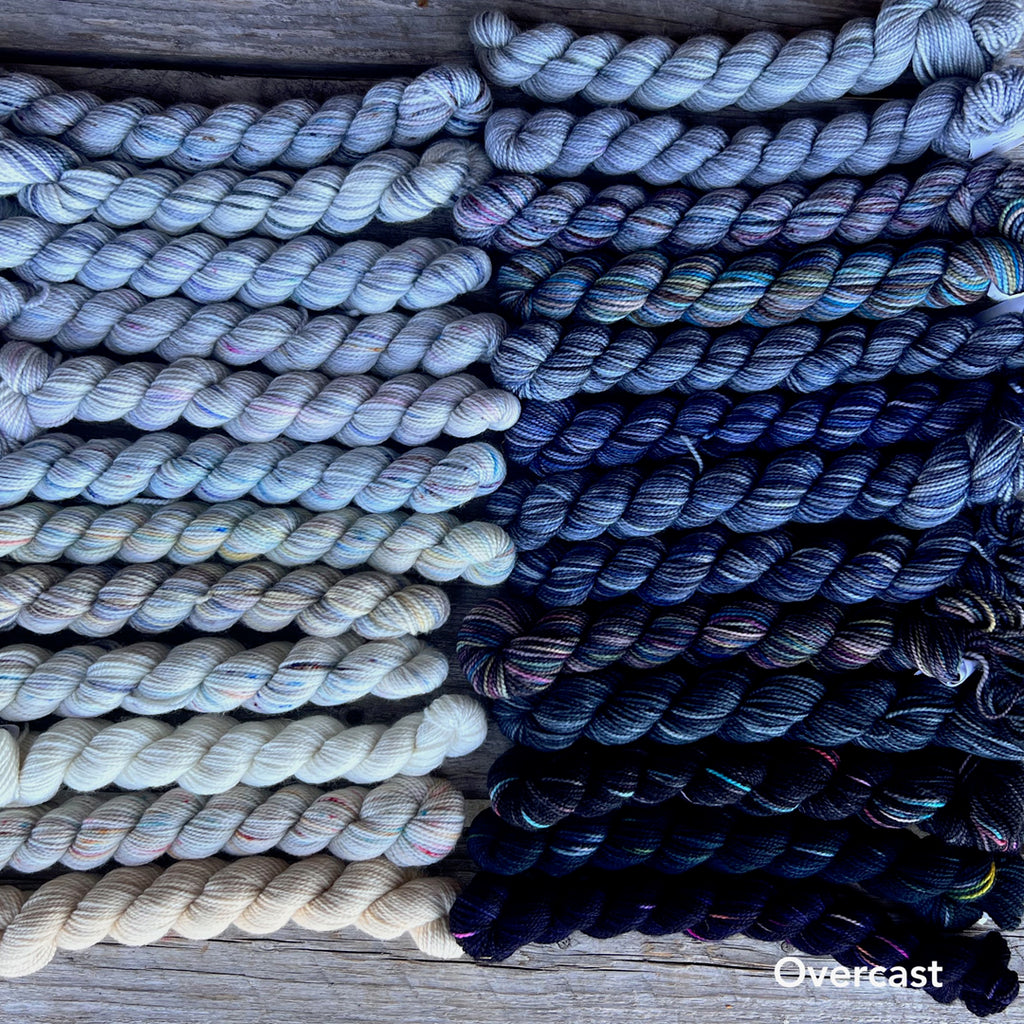 Koigu yarn pack of 25 mini-skeins of yarn, colorway Overcast